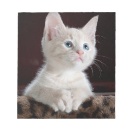 Bloco De Notas Cristóvão Branco Vulnerável