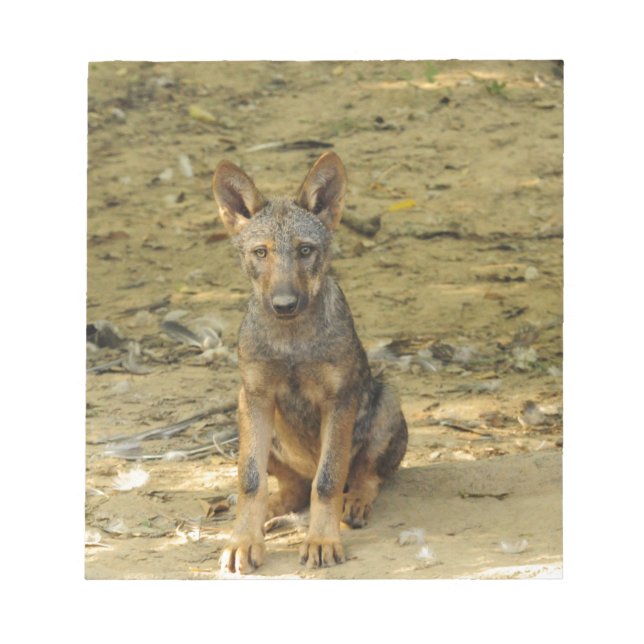 Bloco De Notas Cub do Lobo Bonito (Frente)