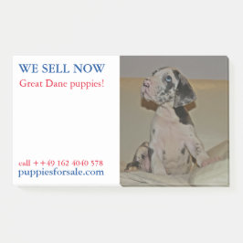 Bloco De Notas Cuppy vendendo notas postadas