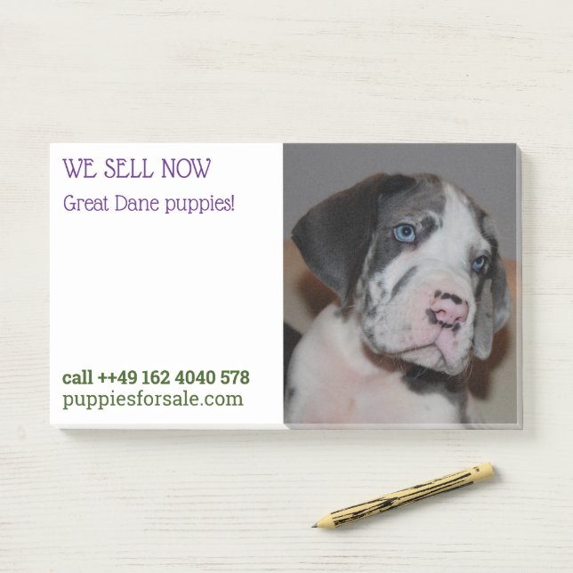 Bloco De Notas Cuppy vendendo notas postadas (Na mesa)