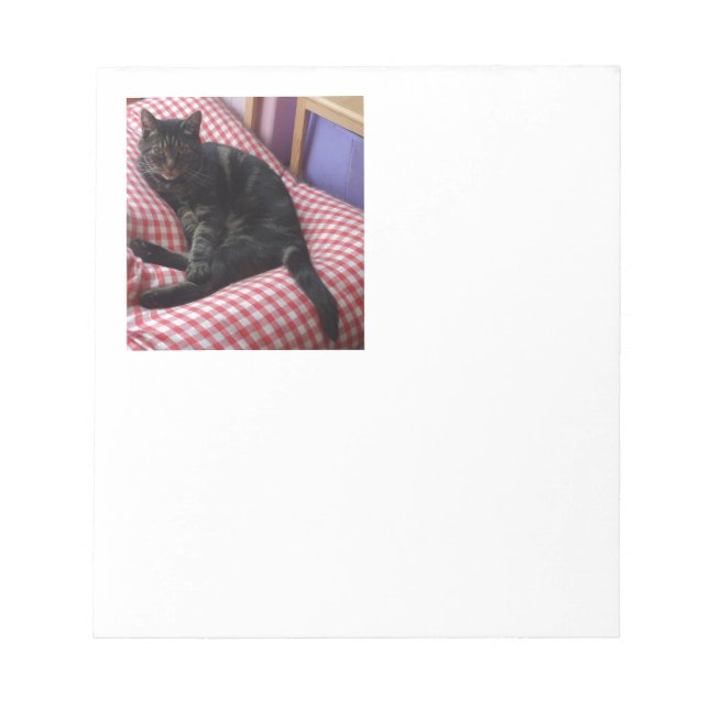Bloco De Notas Cute Dave (Frente)