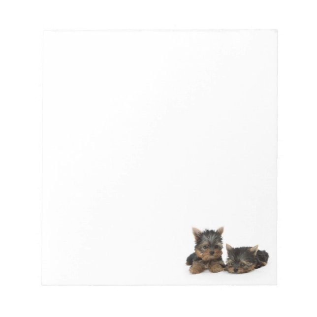 Bloco De Notas Cute Yorkshire Terrier cachorrinhos (Frente)
