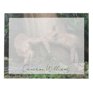Bloco De Notas Cutest Baby Animals Baby Foxes Playing
