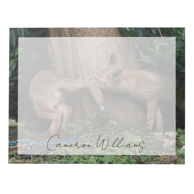 Bloco De Notas Cutest Baby Animals | Baby Foxes Playing (Frente)