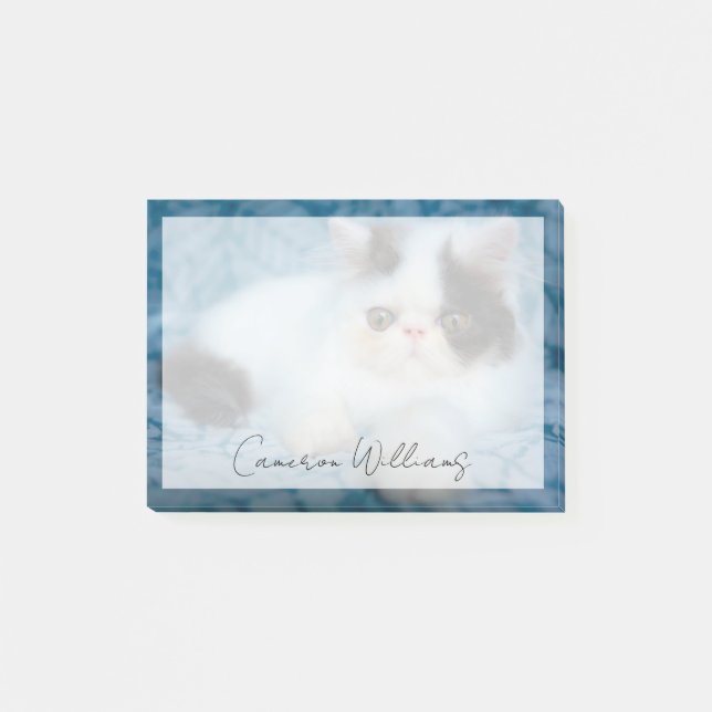 Bloco De Notas Cutest Baby Animals | Black & White Kitten (Frente)