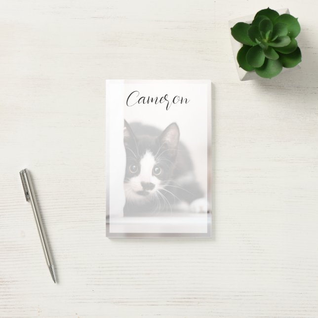 Bloco De Notas Cutest Baby Animals | Black & White Kitten (Escritótio)