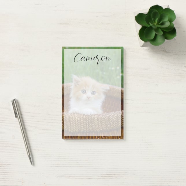 Bloco De Notas Cutest Baby Animals | Blue Eyed Kitten (Escritótio)