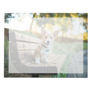 Bloco De Notas Cutest Baby Animals Corgi Puppy on a Park Bench