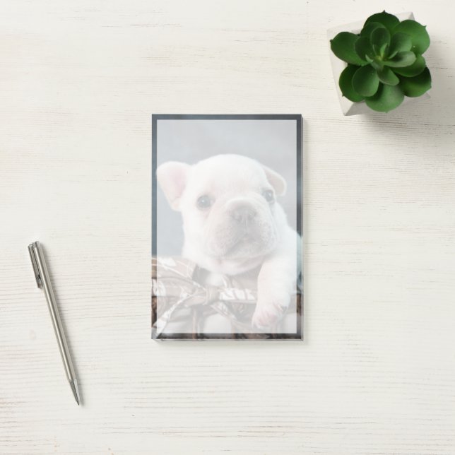 Bloco De Notas Cutest Baby Animals | French Bulldog (Escritótio)