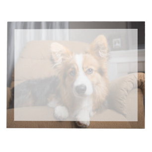Bloco De Notas Cutest Baby Animals Long Hair Corgi Puppy