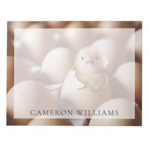 Bloco De Notas Cutest Baby Animals New Baby Chick