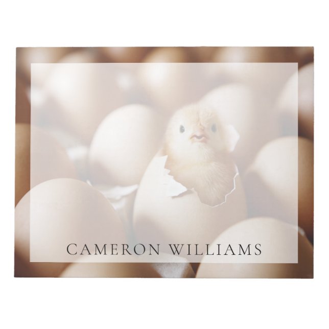 Bloco De Notas Cutest Baby Animals | New Baby Chick (Frente)