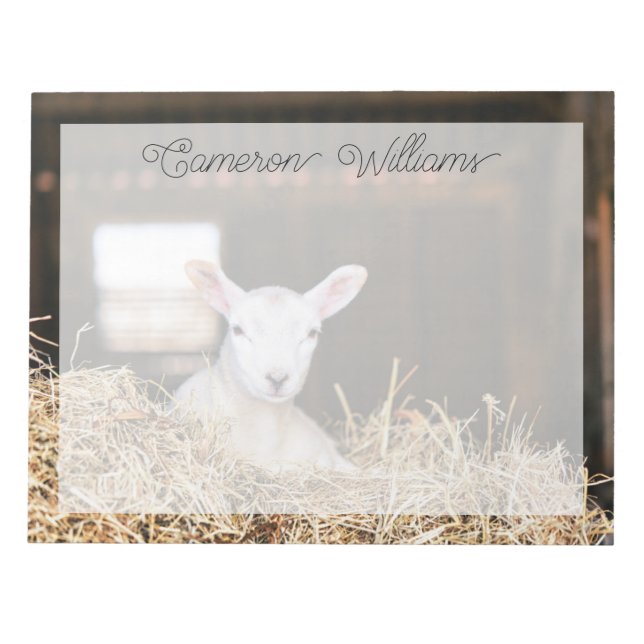 Bloco De Notas Cutest Baby Animals | Newborn Lamb (Frente)