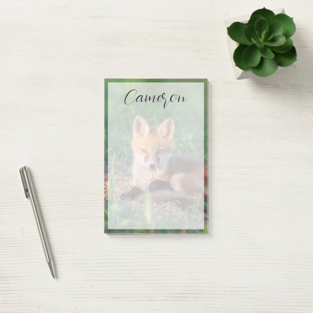 Bloco De Notas Cutest Baby Animals | Red Fox Kit Relaxing (Escritótio)