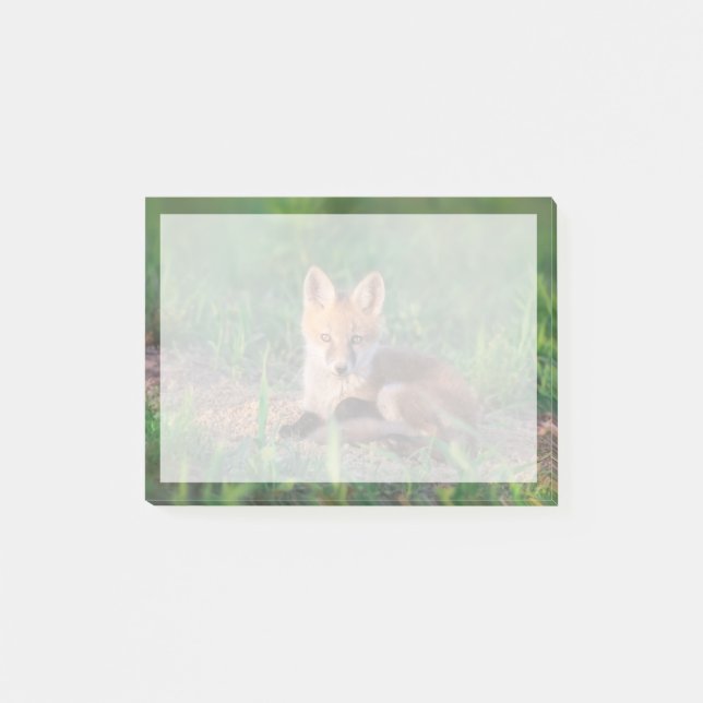 Bloco De Notas Cutest Baby Animals | Red Fox Kit Relaxing (Frente)
