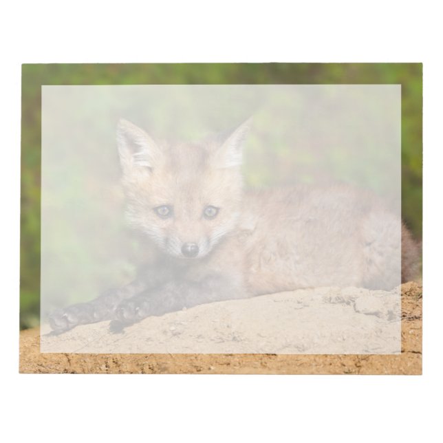Bloco De Notas Cutest Baby Animals | Red Fox Pup (Frente)