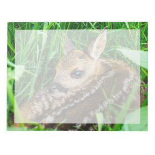 Bloco De Notas Cutest Baby Animals Roe Deer Baby