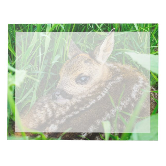 Bloco De Notas Cutest Baby Animals | Roe Deer Baby (Frente)