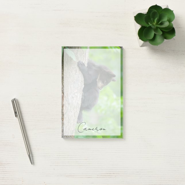 Bloco De Notas Cutest Baby Animals | Young Black Bear Cub (Escritótio)