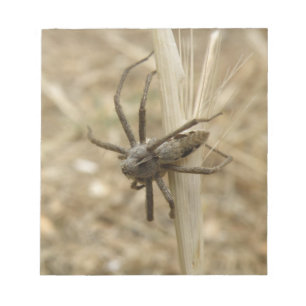 Bloco de notas da aranha do inseto rastejador