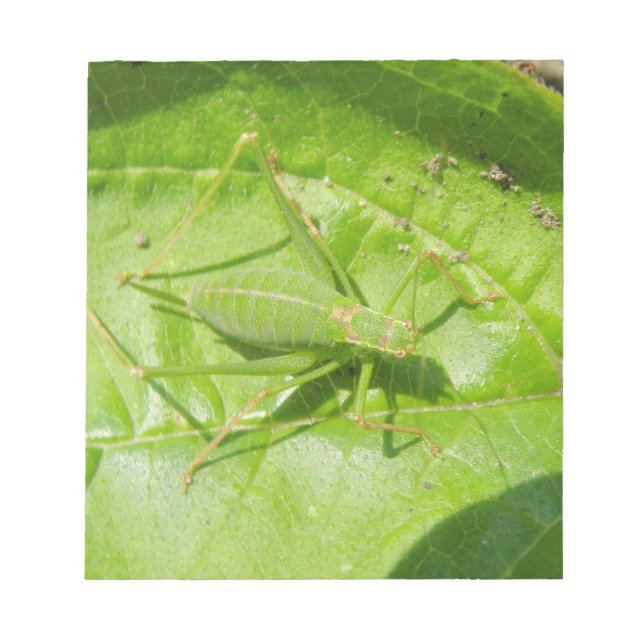 Bloco de notas da Camuflagem de Críquete Verde (Frente)