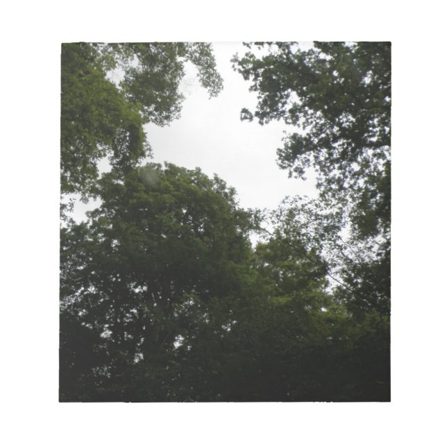 Bloco de Notas da Floresta Cerrante (Frente)