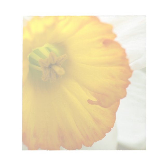 Bloco De Notas Daffodil (Frente)
