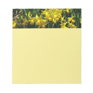 Bloco De Notas Daffodils Amarelos I Flores De Mola Cheery