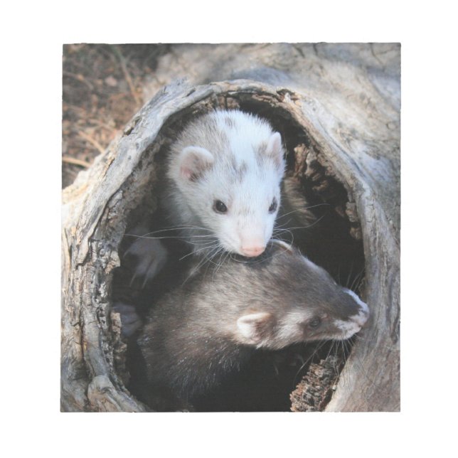 Bloco de notas de amigos (Frente)