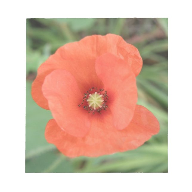 Bloco de notas de flor selvagem (Frente)