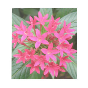 Bloco de notas de flores tropicais cor-de-rosa-cla