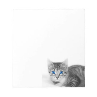 bloco de notas de gato