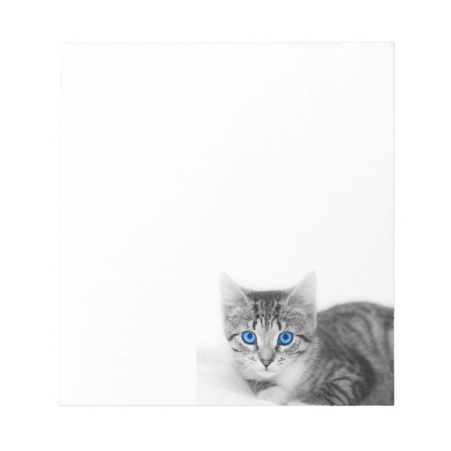 bloco de notas de gato (Frente)