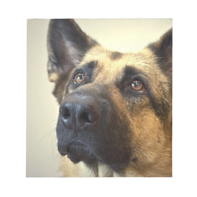 Bloco de notas de imagem do german shepherd (Frente)