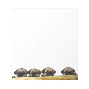 Bloco de notas de quatro Pugs