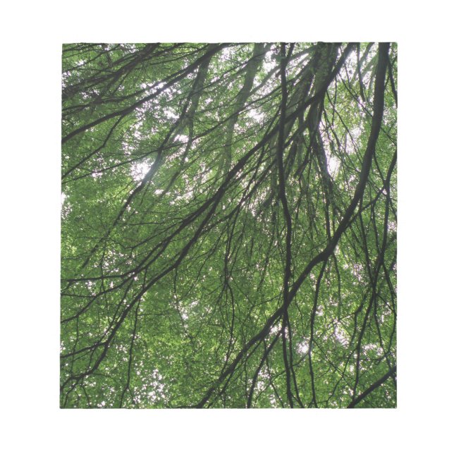 Bloco de Notas de Ramificações e Folhas (Frente)