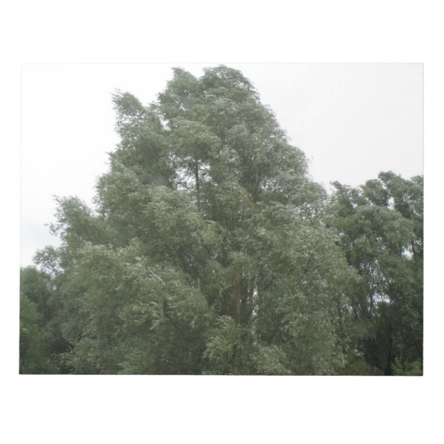 Bloco de Notas de Treetops (Frente)