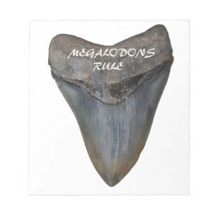 Bloco De Notas Dente de Tubarão Megalodonte
