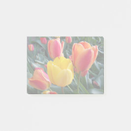 Bloco De Notas Desativar Cores na Sua Própria Foto