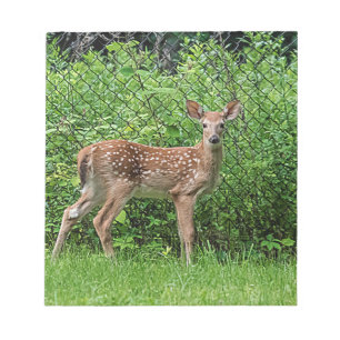 Bloco De Notas Descoberto em frente a uma cerca