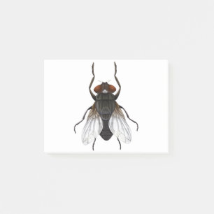 Bloco De Notas desenho animado