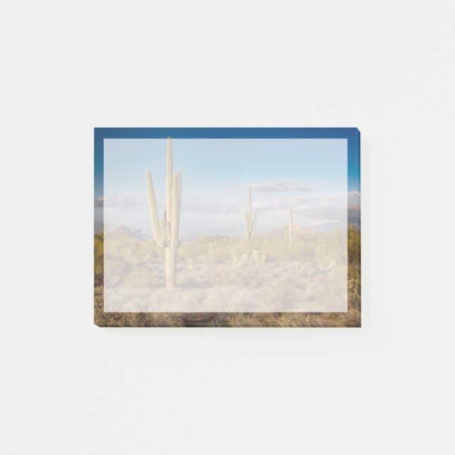 Bloco De Notas Desertos | Superstições, Arizona (Frente)
