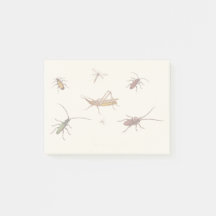 Design com sete insetos diferentes