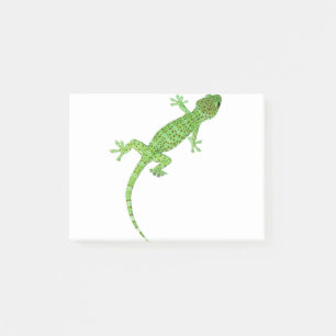 Bloco De Notas design Pet Gecko Lizard