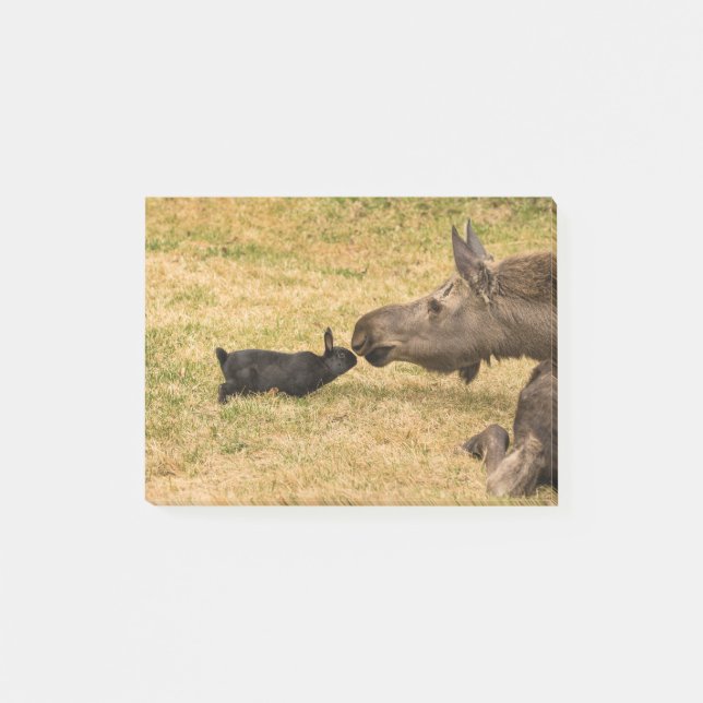 Bloco De Notas Diversidade (Frente)