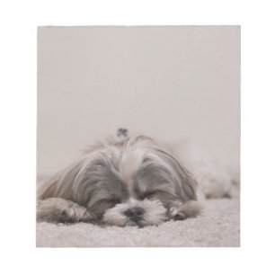 Bloco de notas do sono do tzu de Shih, cão do son