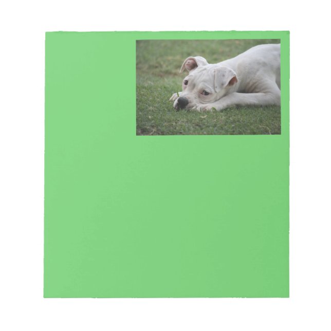 Bloco De Notas Doce Boxer Puppy (Frente)