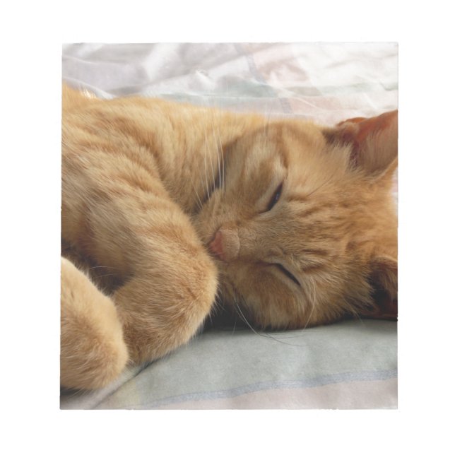 Bloco De Notas Doces Sonhos (Frente)