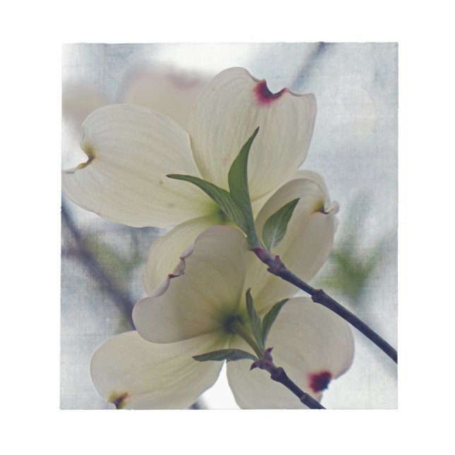 Bloco De Notas Dogwood Blossoms (Frente)