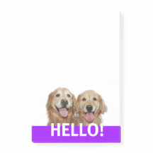 Dois cães de Ouro sorridentes, Alô